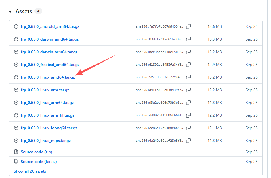 Wispbyte 免费容器VPS能跑 frp 吗？实测：一个端口照样玩转内网穿透！