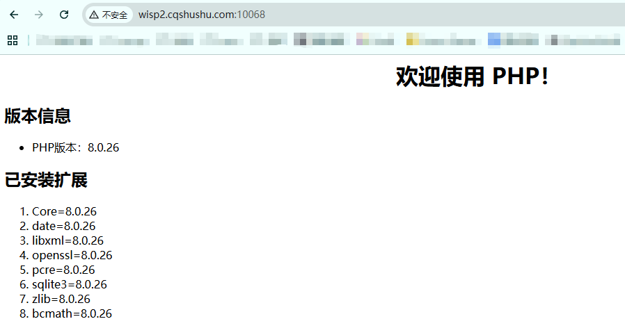 Wispbyte 免费容器VPS能跑 frp 吗？实测：一个端口照样玩转内网穿透！